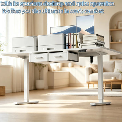 NEBMAAX Electric Standing Desk Height Adjustable Gaming Computer Workstation with Memory 176lbs Load Drawer Charging Station Home Office Table
