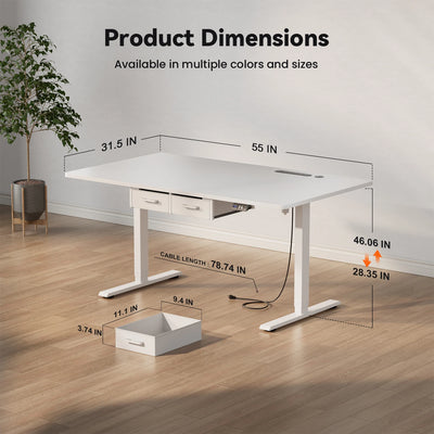 NEBMAAX Electric Standing Desk Height Adjustable Gaming Computer Workstation with Memory 176lbs Load Drawer Charging Station Home Office Table