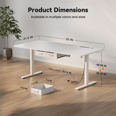 NEBMAAX Electric Standing Desk Height Adjustable Gaming Computer Workstation with Memory 176lbs Load Drawer Charging Station Home Office Table