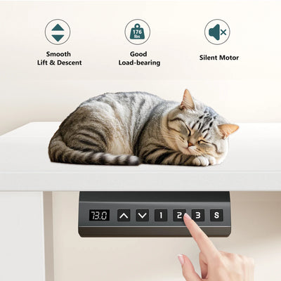 Electric Standing Desk, 63x24 Inch Height Adjustable, Ergonomic Office Workstation
